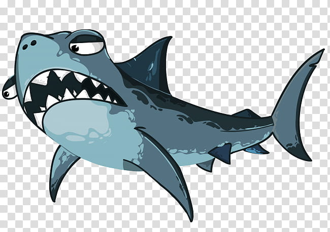 Great White Shark, Hammerhead Shark, Cartilaginous Fishes, Whale Shark, Blue Shark, Jaws, Cartoon, Lamniformes transparent background PNG clipart