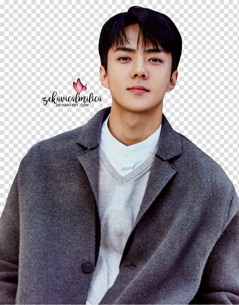 EXO Nature Republic, man in grey blazer smiling transparent background PNG clipart