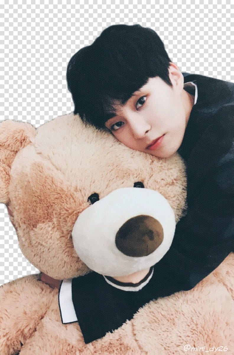 Xiumin UNIVERSE, man hugging brown teddy bear transparent background PNG clipart