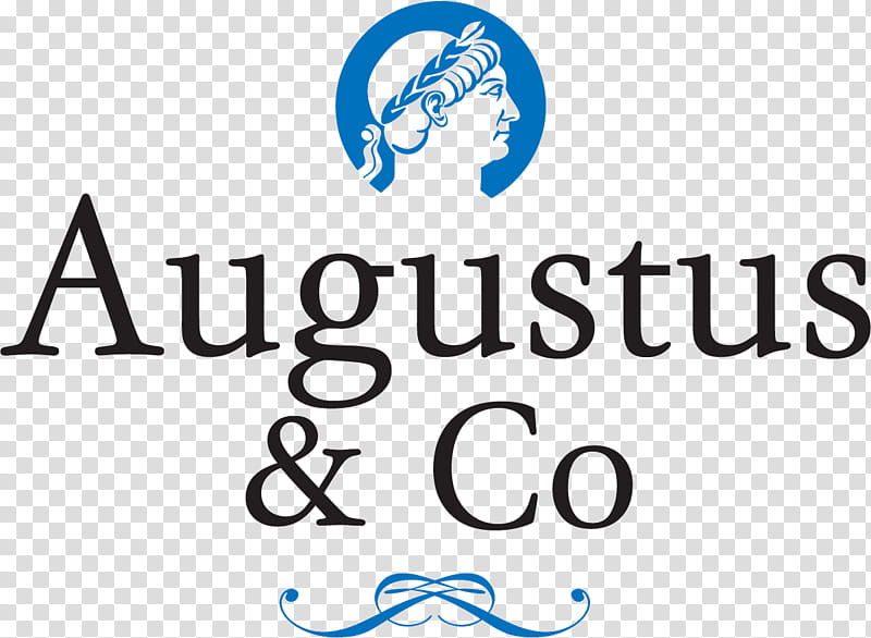 Augustus Co Chartered Certified Accountants Text, Logo, Accounting, Business, Ilford, Blue, Line, Area transparent background PNG clipart