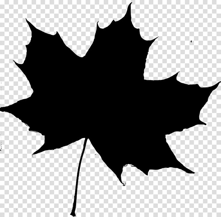 Autumn Tree Silhouette, Leaf, Maple Leaf, Applied Arts, Plant Stem, Branch, Plants, Creativity transparent background PNG clipart