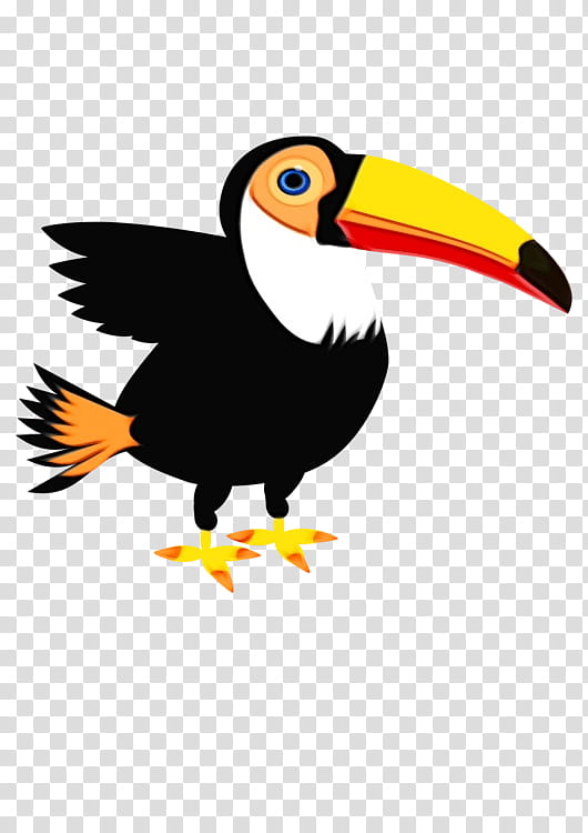 Hornbill Bird, Toucan, Beak, Cormorant, Drawing, Animal, Feather, Piciformes transparent background PNG clipart