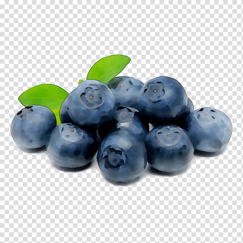 Tea Tree, Blueberry, Bilberry, Huckleberry, Blueberry Tea, Berries, Anthocyanin, Food transparent background PNG clipart