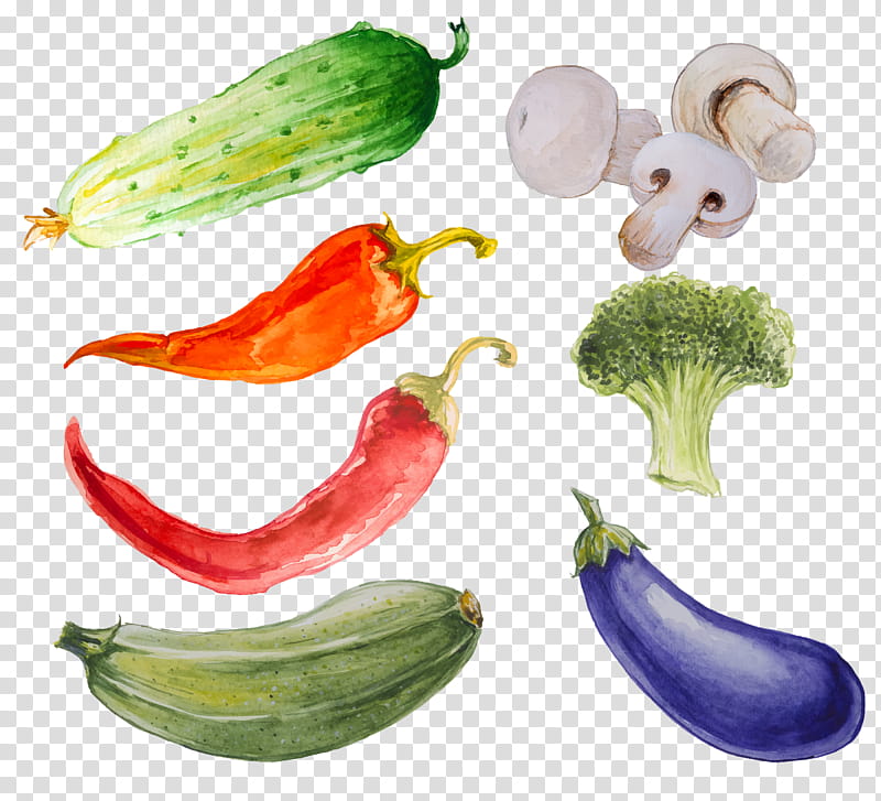 Cartoon Banana, Vegetable, Watercolor Painting, Cucumber, Aubergines, Sweet And Chili Peppers, Cartoon, Food transparent background PNG clipart