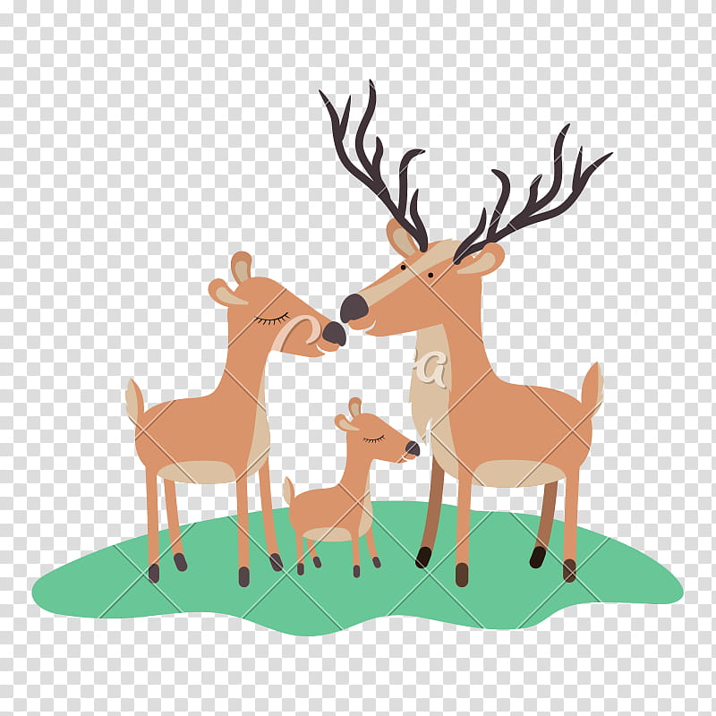 Cartoon Grass, Deer, Moose, Silhouette, Cartoon, Reindeer, Wildlife, Roe Deer transparent background PNG clipart