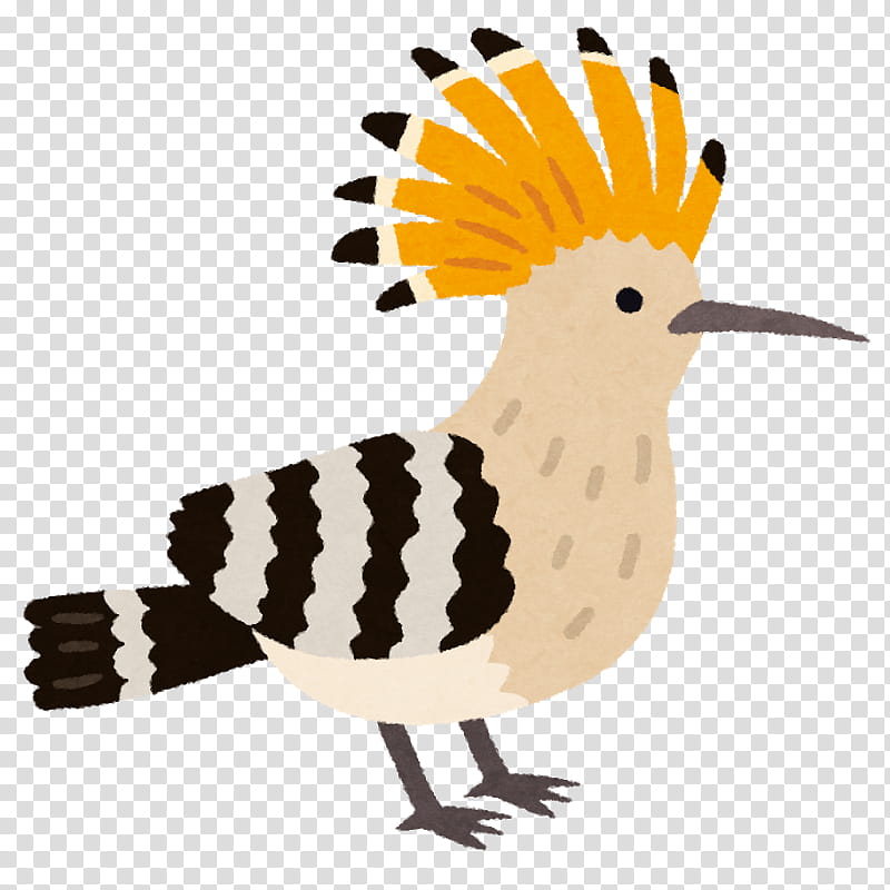Bird Wing, Chicken, Beak, Feather, Eurasian Hoopoe, Hatena, Head, Crown transparent background PNG clipart