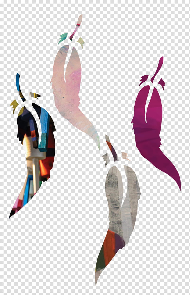 Bird Wing, Feather, Beak, Piciformes transparent background PNG clipart