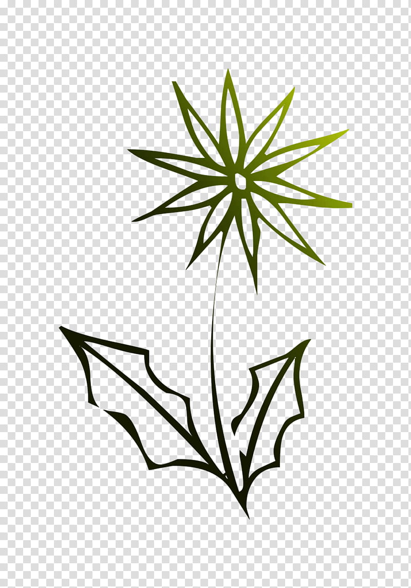 Flower Line Art, Plant Stem, Leaf, Plants, Grass, Chlorophyta, Hemp Family, Weed transparent background PNG clipart