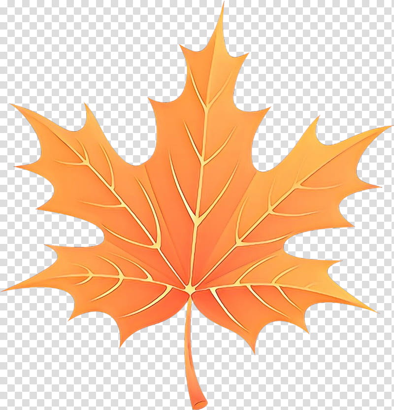 Maple leaf, Cartoon, Tree, Black Maple, Woody Plant, Plane, Deciduous, Planetree Family transparent background PNG clipart