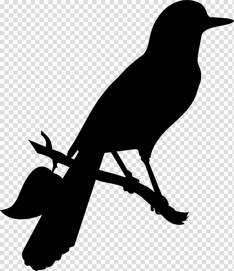 Mockingbird Silhouette, American Crow, Advertising, To Kill A Mockingbird, Common Raven, Beak, New Caledonian Crow, Crowlike Bird transparent background PNG clipart