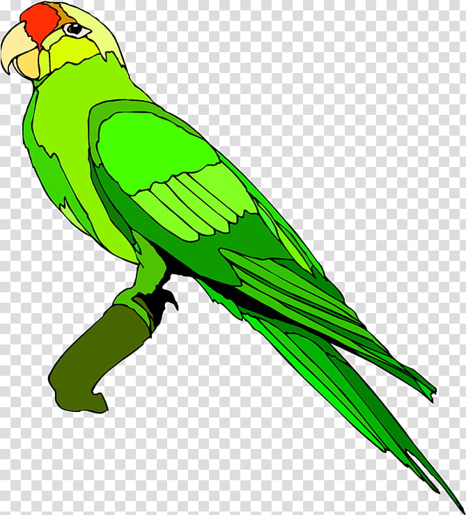 Background Green, Parrot, Bird, Macaw, Great Green Macaw, Beak, Document, Parakeet transparent background PNG clipart