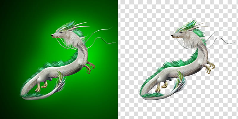 Dragon , Spirited Away Haku illustration transparent background PNG clipart