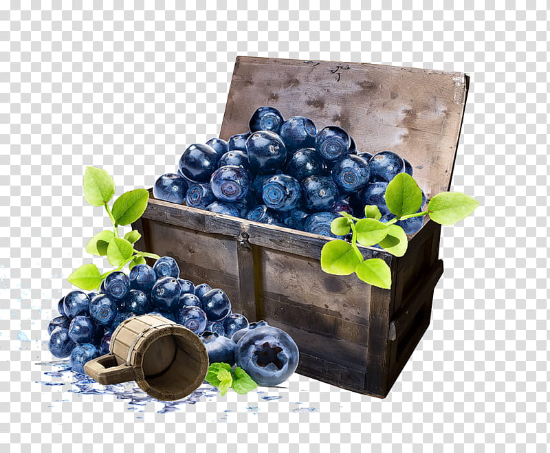 Grape, Blueberry, Fruit, Berries, American Muffins, Jam, Food, Bilberry transparent background PNG clipart