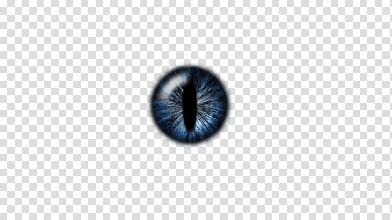 IRIS, blue and black iris transparent background PNG clipart