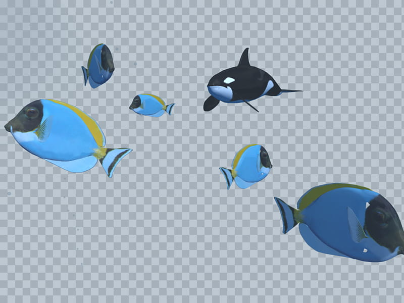 Sealife, teal and black fish transparent background PNG clipart