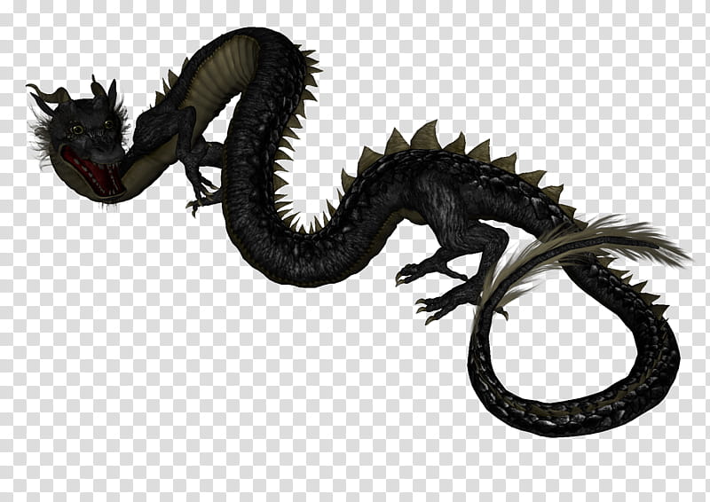 Asian Dragon , black and gray dragon illustration transparent background PNG clipart