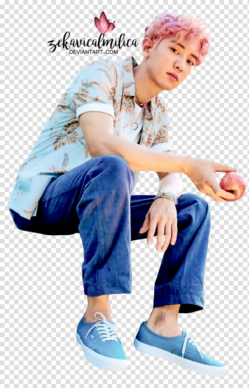 EXO Chanyeol The War transparent background PNG clipart