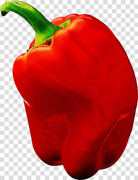bell pepper pimiento capsicum red vegetable, Chili Pepper, Red Bell Pepper, Plant, Paprika transparent background PNG clipart