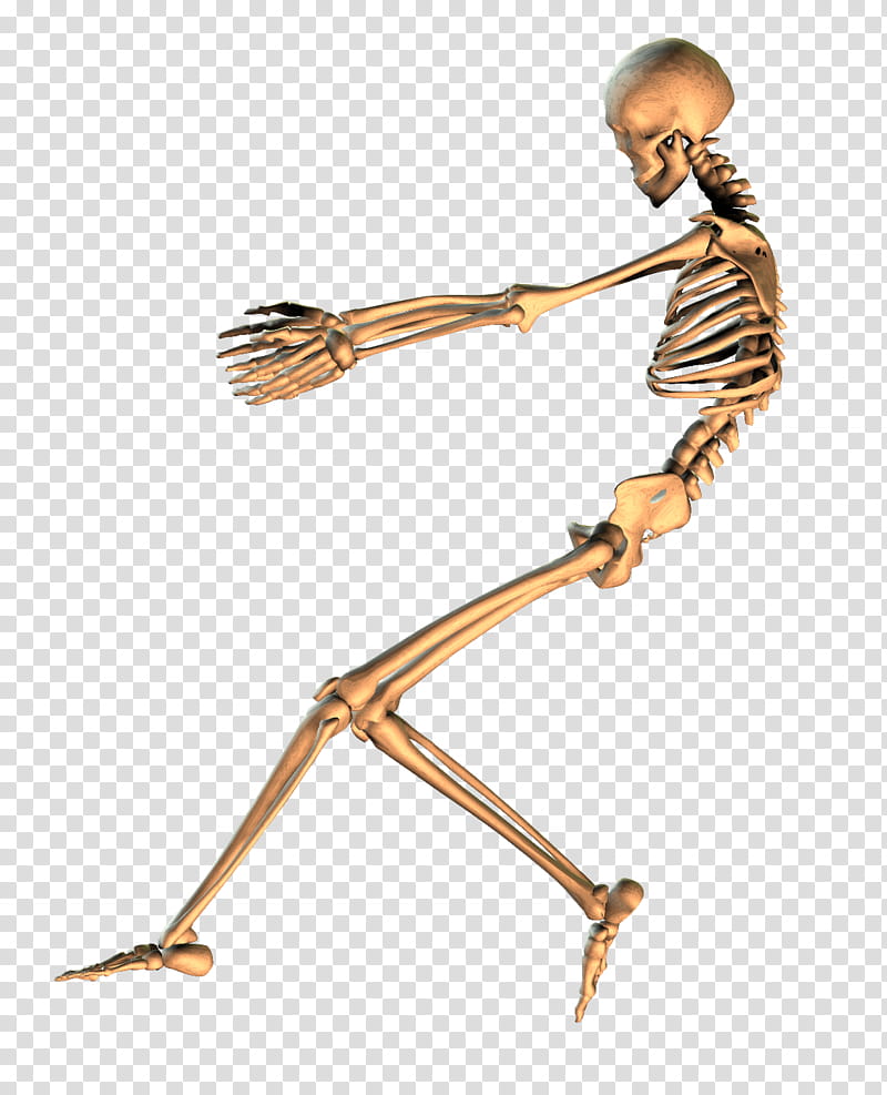 Skeleton , human skeleton transparent background PNG clipart