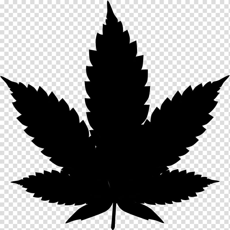 Cannabis Leaf, Cannabis Sativa, Cannabis Tea, Medical Cannabis, Cannabis Smoking, Hemp, Plant, Hemp Family transparent background PNG clipart