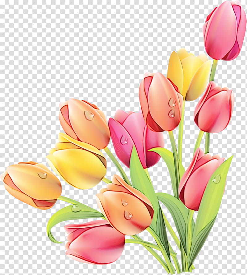 Hand drawn of side view pink open tulip flower, sketch style vector  illustration isolated on white background. Realistic hand drawing of tulip  flower, decoration element Stock Vector | Adobe Stock