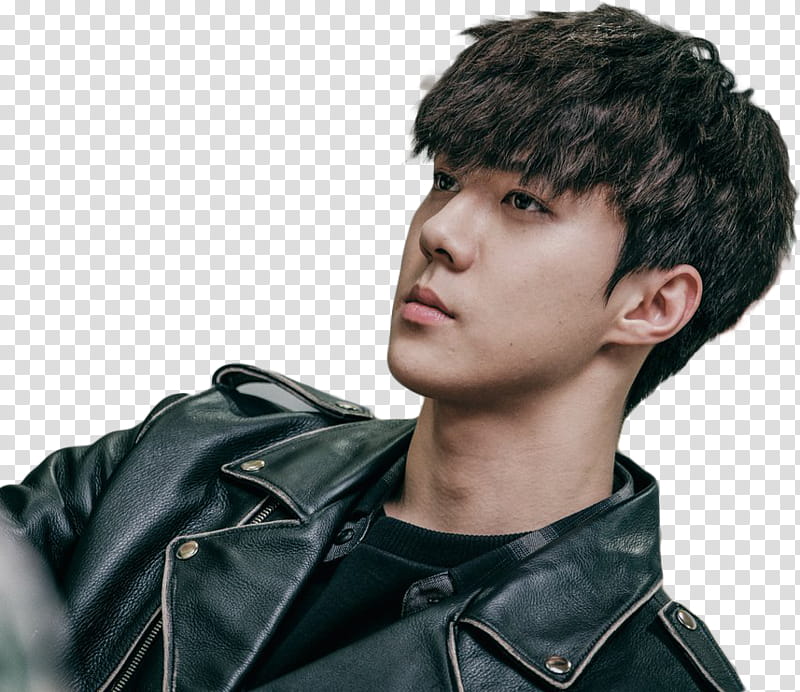 Sehun EXO DOKGO REWIND transparent background PNG clipart | HiClipart