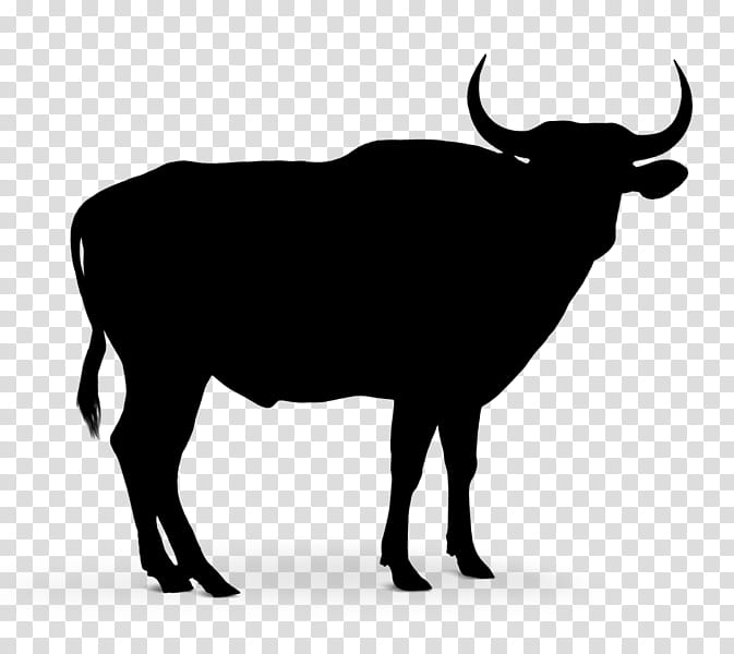 Drawing Of Family, Cattle, Silhouette, Bovine, Horn, Bull, Cowgoat Family, Wildlife transparent background PNG clipart