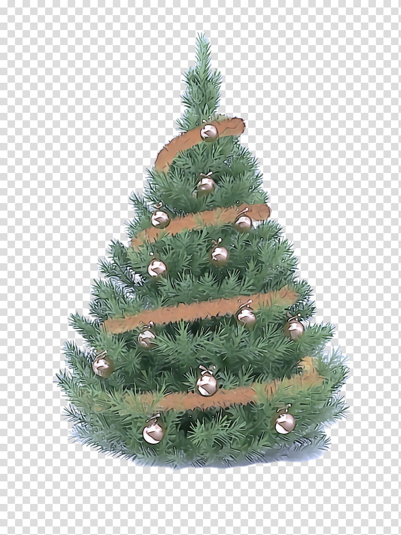 Christmas tree, Balsam Fir, Colorado Spruce, White Pine, Yellow Fir, Shortleaf Black Spruce, Oregon Pine, Canadian Fir transparent background PNG clipart