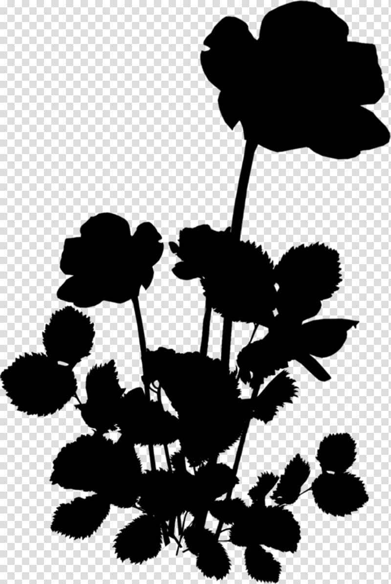 Black And White Flower, Black White M, Plant Stem, Leaf, Silhouette, Plants, Blackandwhite, Wildflower transparent background PNG clipart