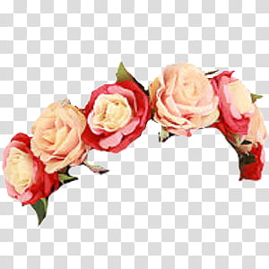 Flower Crowns, white and red rose illustration transparent background PNG clipart