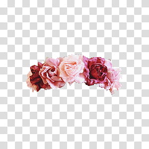 Flower Crowns, pink and red roses painting transparent background PNG clipart