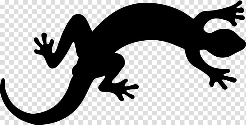 Lizard True Salamanders And Newts, Reptile, Silhouette, Gecko, Tail, Claw transparent background PNG clipart