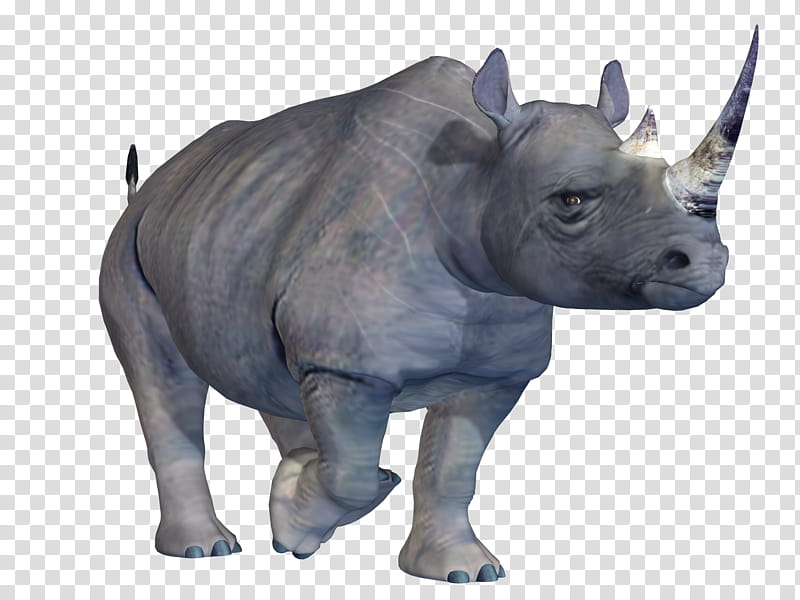 Rhino , black Rhinoceros transparent background PNG clipart