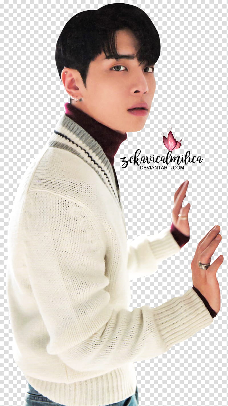 SHINee Jonghyun  Seasons Greetings transparent background PNG clipart