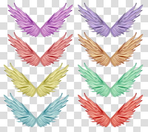 Render Wings transparent background PNG clipart thumbnail