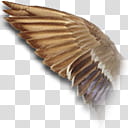 The Attic vol  Win, brown wing transparent background PNG clipart