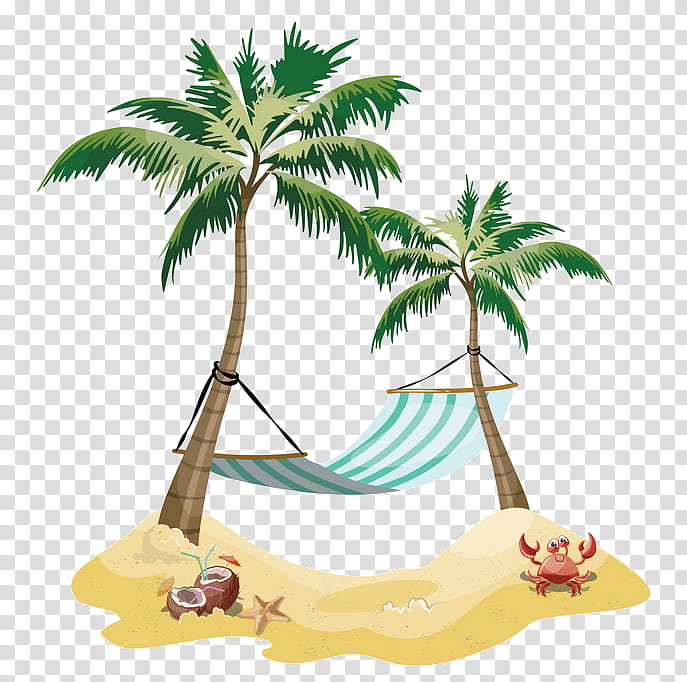 Palm tree, Hammock, Arecales, Plant, Leaf, Coconut, Woody Plant transparent background PNG clipart