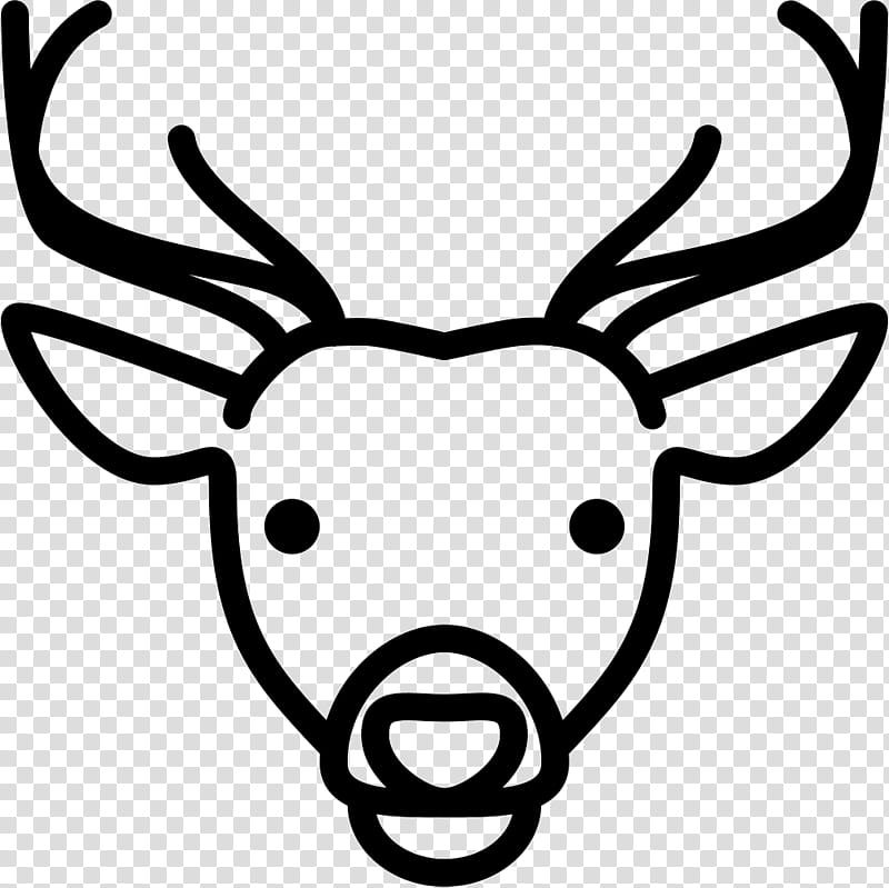 Book, Deer, White, Head, Horn, Reindeer, Snout, Antler transparent background PNG clipart