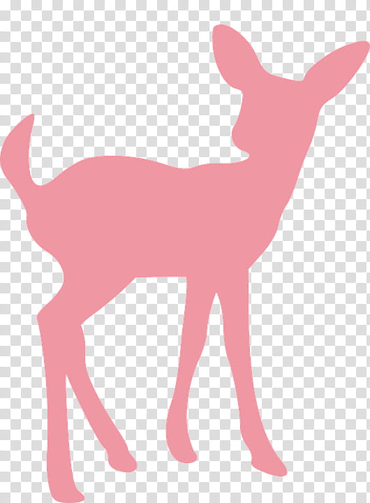 deer pink tail wildlife roe deer, Animal Figure, Fawn transparent background PNG clipart