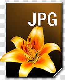 Adobe Neue Icons, JPG__, JPG logo transparent background PNG clipart