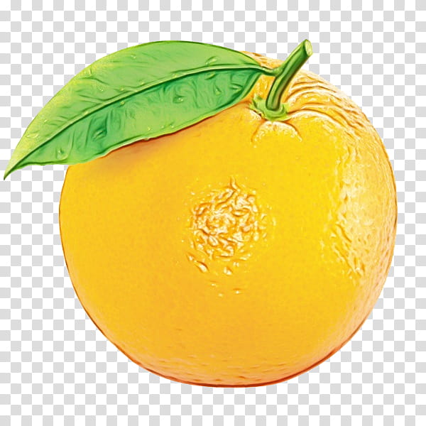 Lemon, Clementine, Mandarin Orange, Food, Grapefruit, Tangerine, Valencia Orange, Citron transparent background PNG clipart