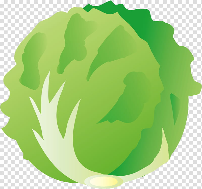 Green Leaf Logo, Vegetable, Greens, Lettuce, Bargli Sabzavotlar, Food, Salad, Spinach transparent background PNG clipart