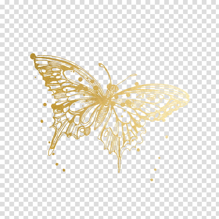 Gold Brush, Monarch Butterfly, Temporary Tattoos, Tattly, Pieridae, Moth, Ink, Brushfooted Butterflies transparent background PNG clipart