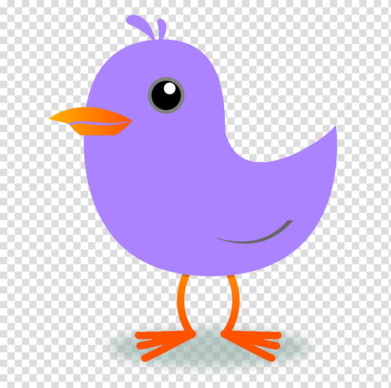 Tweety Bird, Borders , Singing, Drawing, Beak, Purple, Chicken, Water Bird transparent background PNG clipart