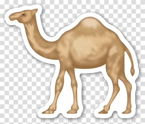 EMOJI STICKER , brown camel illustration transparent background PNG clipart