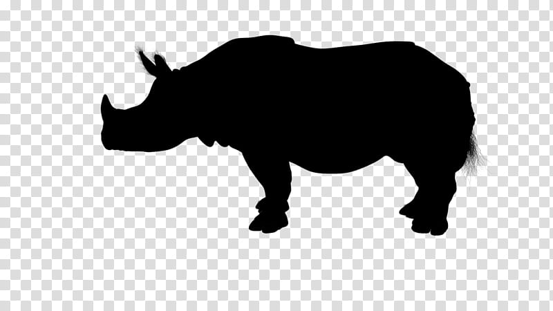 Angus Cattle Rhinoceros, Charolais Cattle, Silhouette, Beef Cattle, Bull, Live, Ranch, Black Rhinoceros transparent background PNG clipart