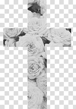 Crosses , grayscale graphy of flower transparent background PNG clipart