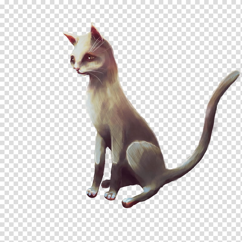 Kat transparent background PNG clipart