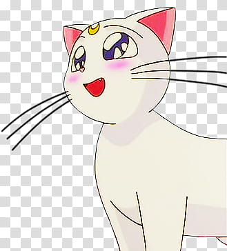 Artemis Sailor Moon, white and pink cat cartoon character transparent background PNG clipart