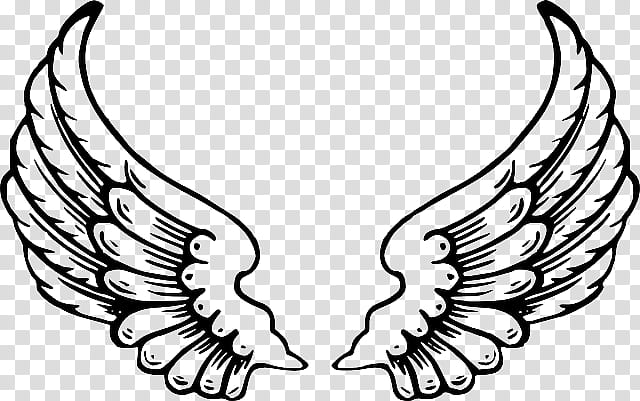 Bird Line Drawing, Decal, Sticker, Wall Decal, Angel, Bumper Sticker, Tattoo, Halo transparent background PNG clipart